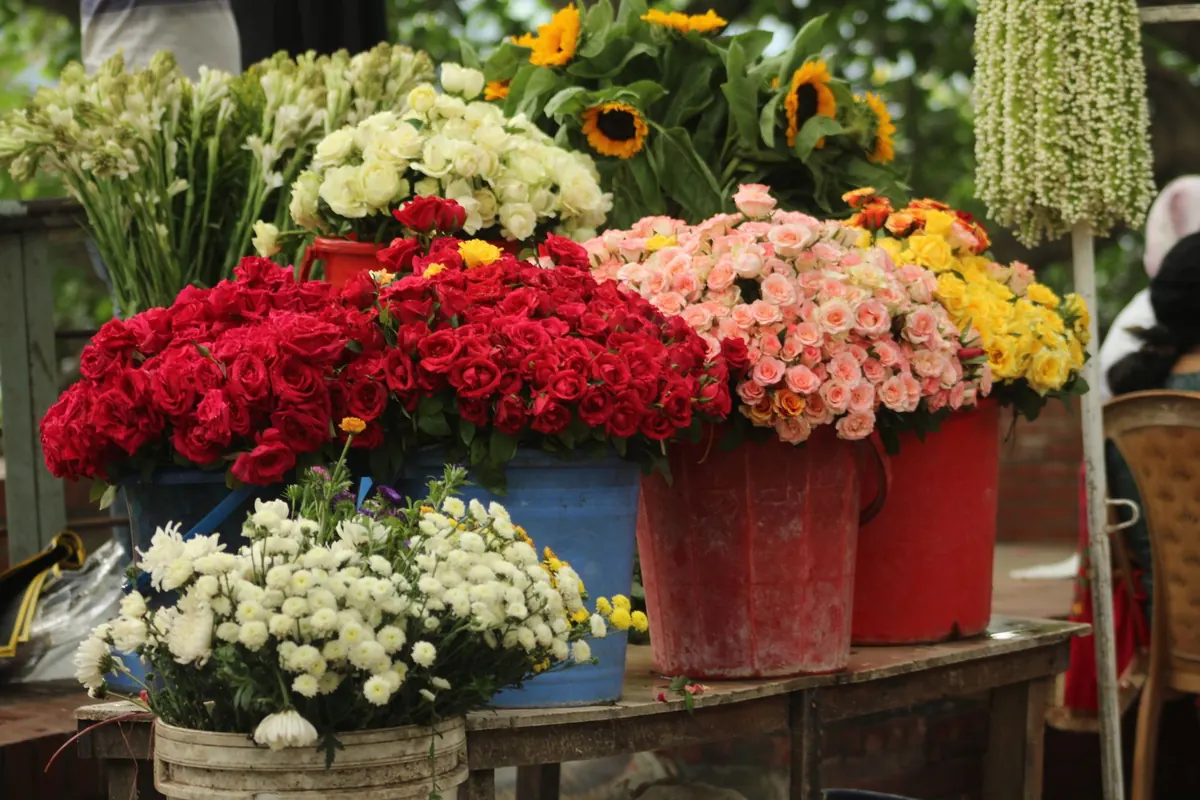 A Month-by-Month Guide to British Seasonal Flowers